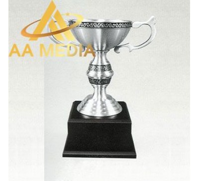 PEWTER05